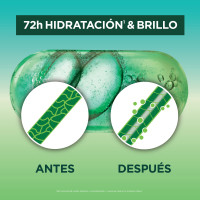  Acondicionador Fructis Aloe Hidra Bomb 200ml