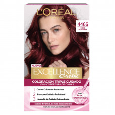 EXCELLENCE TINT. T4466                                                