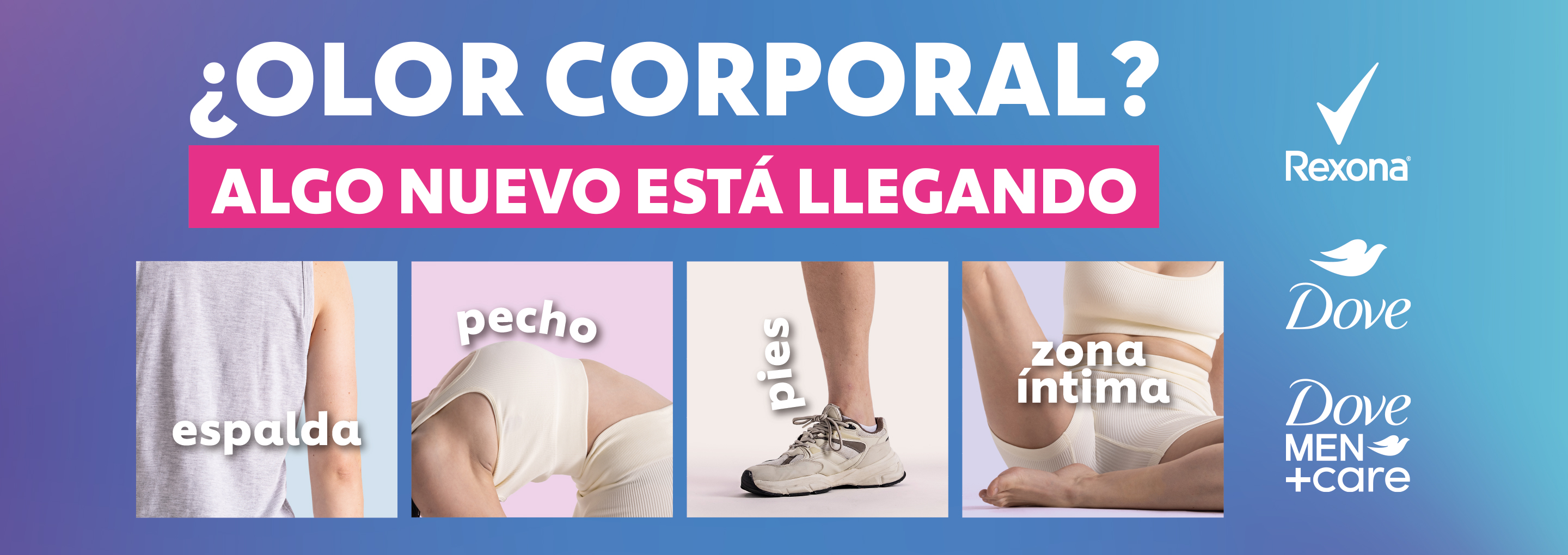 proceso de compra